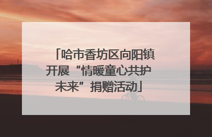 哈市香坊区向阳镇开展“情暖童心共护未来”捐赠活动